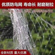 全新尼龙防鸟网樱桃葡萄草莓梨树大棚果园鱼塘泥鳅稻谷养殖防护网