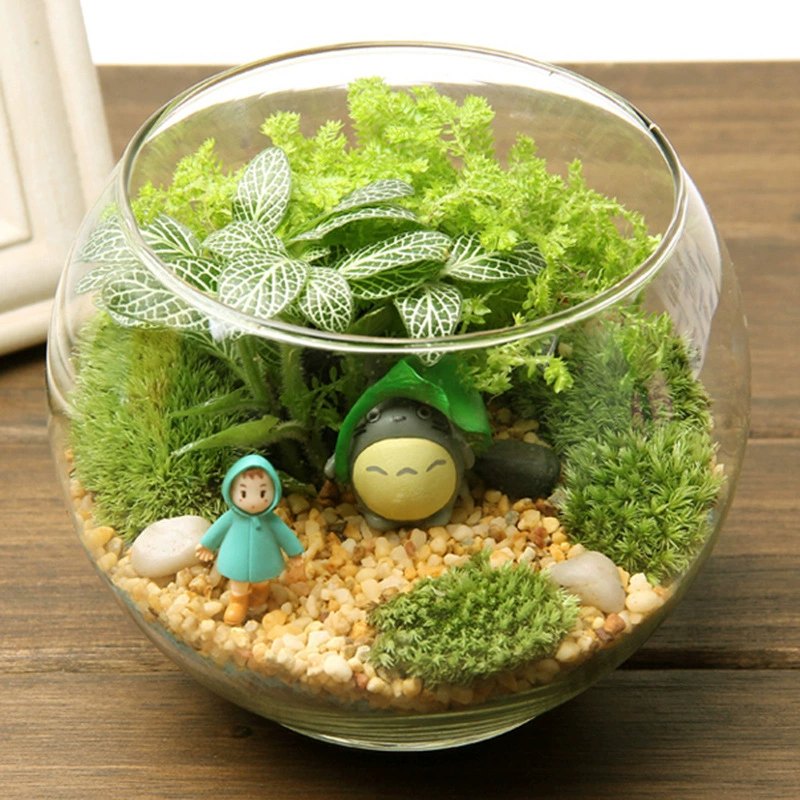 Мох Микро Пейзаж Творческий Подарок Украшения Бутылка Моха Экологическая Бутылка 15 Стеклянная Крышка Офисные Украшения