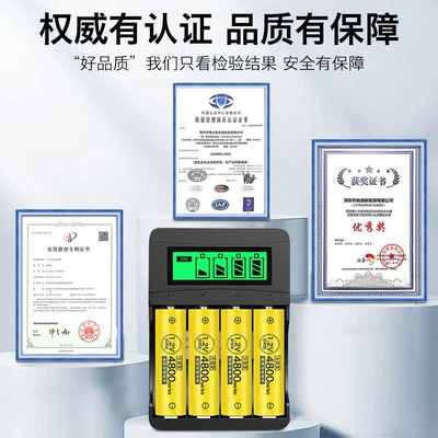 Delipu No. 5 Rechargeable Battery Hibrid akkumulyator batareyaları