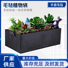 ���lë��ֲ����߲������o�����NֲͰ��ͥ�ֲ̨���������F؛�ٰl