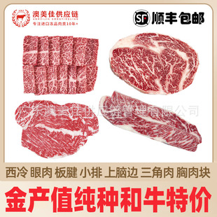 �����l�؃r������203��aֵ���N��ţ�����������ţС��������