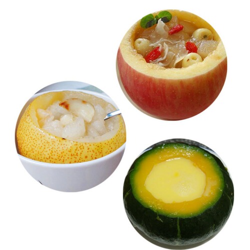 Stainless steel fruit corer tool corer
