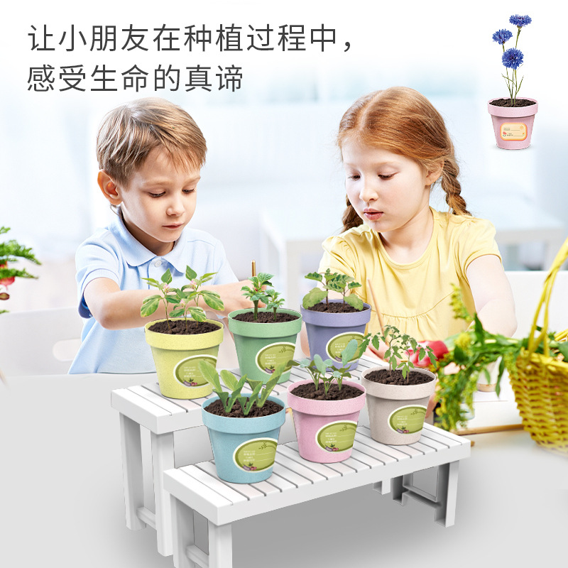 Planta de mesa para niños mini plantas verdes creativas pequeñas plantas de fresa girasol al por mayor