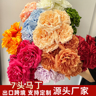 7�^�R�����滨�ҾӲ廨�[���Ƶ��c�b�·�������������zӰ����