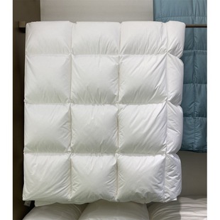 Big 95 White Goose Down Winter Thickened Warm Down Quilt Core Winter Double Heat Storage Insulation Quilt Winter Quilt