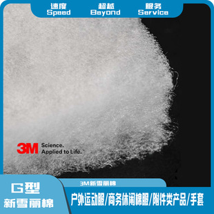 3M��ѩ��G�� Thinsulata��ѩ����Чů�q ��ѩ���޷��b������