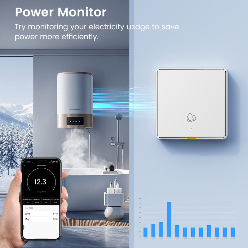 Tuya スマート wifi 給湯器キースイッチ AI アシスタント電源 4000 ワットタイミング EU 壁スイッチ|undefined