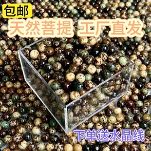 Natural Bodhi Seed Loose Beads Braided Cushion Beads Hand-Held Bracelet Hand String Stall Rosary Handmade DIY Mixed Pack