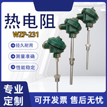 σxWZP-231bʽPT100ضȂߜظ߾ȷˮ̶ݼy