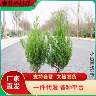 һ�����l��K���ɘ���u��Ĺ�����ļ�����G�������ؘ�����������