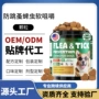 体外驱虫预防狗狗跳蚤