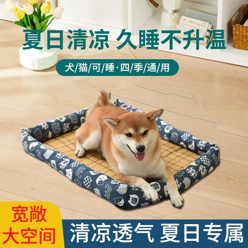 파란 고양이 머리 [작은 태양]