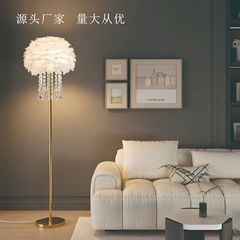 国境を越えたネット赤羽毛フロアランプ寝室のベッドのinsリビングルームの部屋の贅沢な装飾雰囲気の縦型フロアランプ