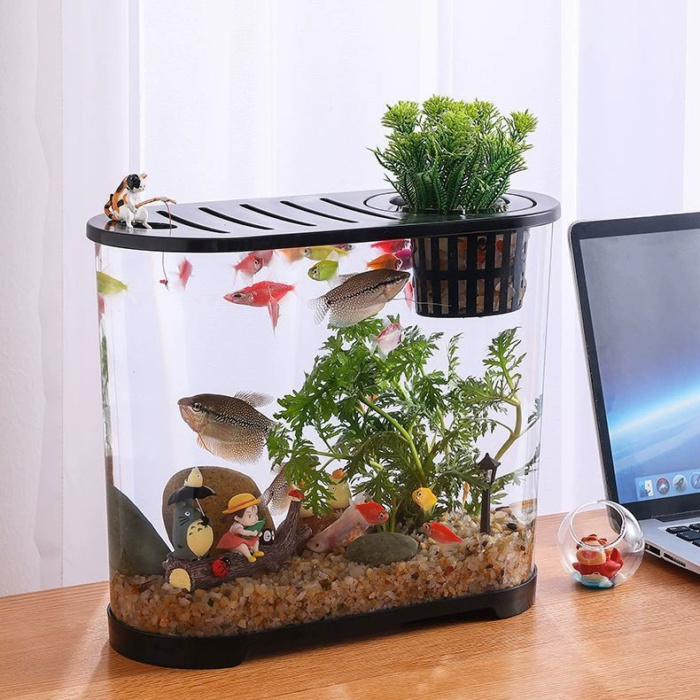 桌面鱼缸小型家用高清透明塑料生态有盖办公桌椭圆形生态缸
