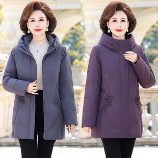 Ʒ�Ƹߙn���ꋌ����q��2025�¿���|�����@���̫̫��ů��q����