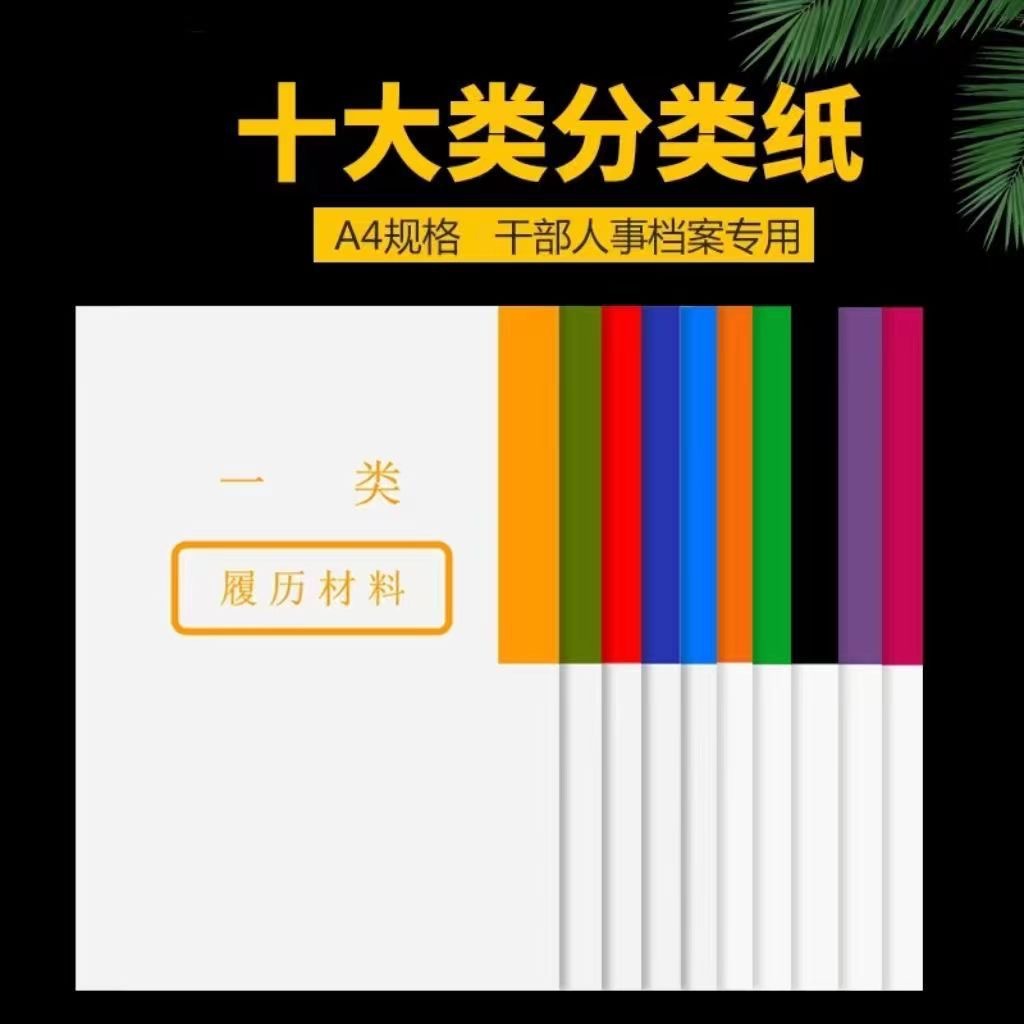 a4干部人事档案十大类分类纸加厚纸张办公专用加厚版