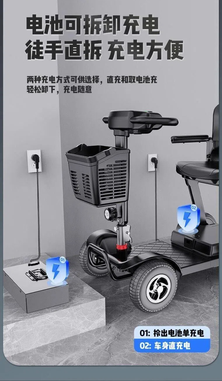 Electric Four-Wheeler for the Elderly, Household Dual-Seater Mobility Scooter for Disabled People, Foldable Small Electric Vehicle