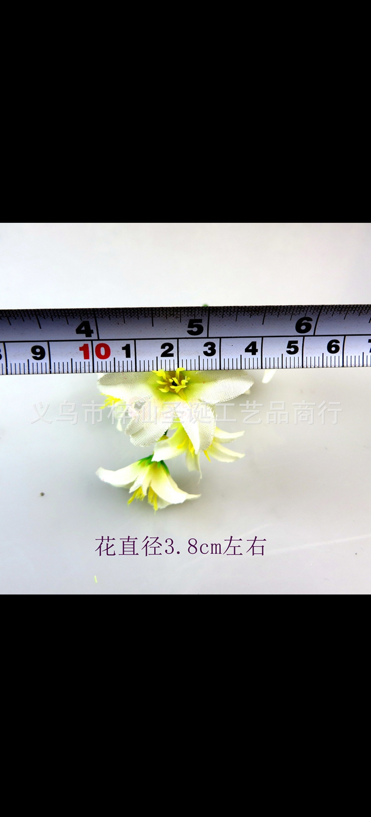 图片_20210812121601