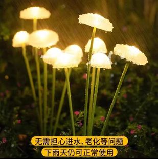 ����̫���ˮĸ�� ���@�̨ͥԺ�Շ����^�� ��ƺ�b�Ģ���ʟ��F؛