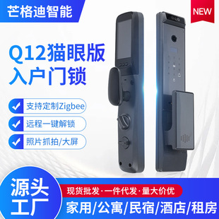 3D Face Fingerprint Lock Visual Cat Eye Digital Password Lock Home Real Estate High-Definition Remote Smart Entry Door Lock