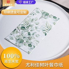 跨境热销派对印花纸巾聚会餐巾纸花草批发餐厅可以加印LOGO