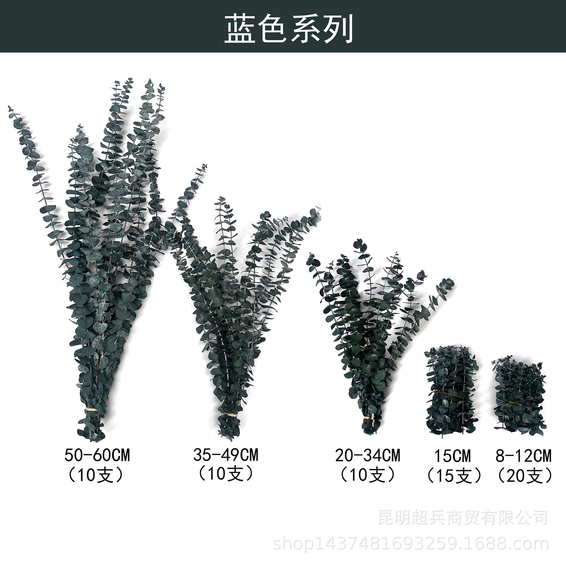 蓝绿色 / 长约50-60CM(10支)