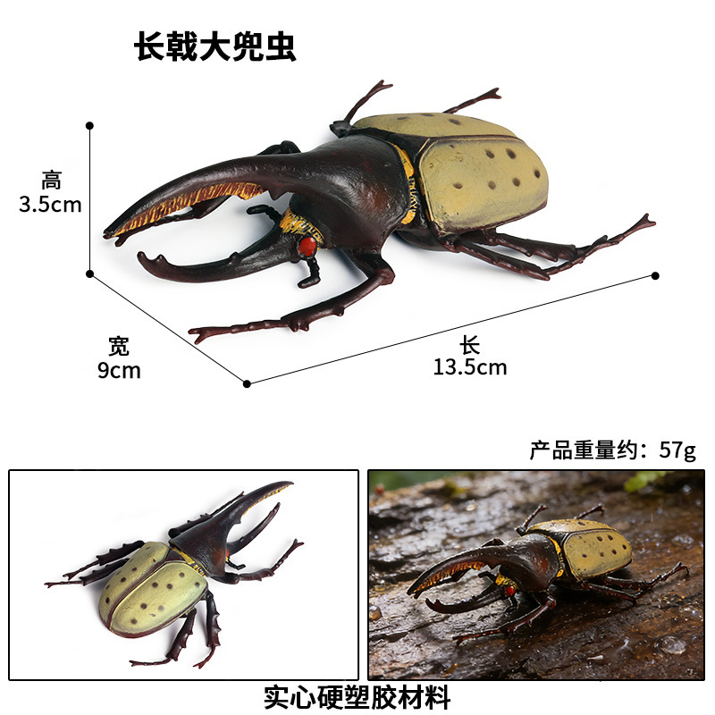 Escarabajo alabarda larga M-1149