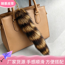 ë�qС���β�͒����Ů�ĕ���耳׿���ϵ�|��С�Y����S�����a