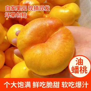 �ʺ������ˮ�������S����������S�S�����Ҵ����r�����S������