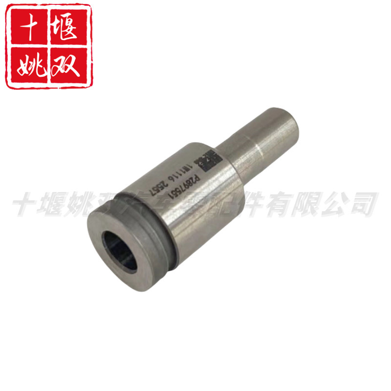 P2897551 applicable engine high pressure fuel common rail injector nozzle assembly brand new high quality supply P2897551 applicable engine high pressure fuel common rail injector nozzle assembly brand new high quality supply