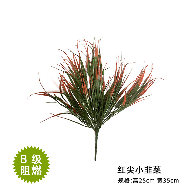 Red tip small leeks 25*35cm