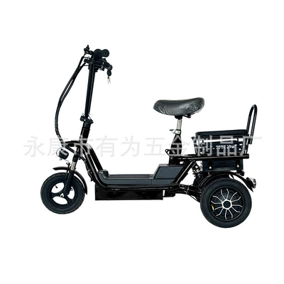Electric Tricycle, Small Household Portable Foldable National Standard Electric Tricycle for the Elderly to Pick up and Drop Off Children (Elektrikli skuterlər) - black