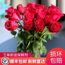 玫瑰花鲜花批发云南基地直发真花康乃馨向日葵百合花鲜花红玫威东