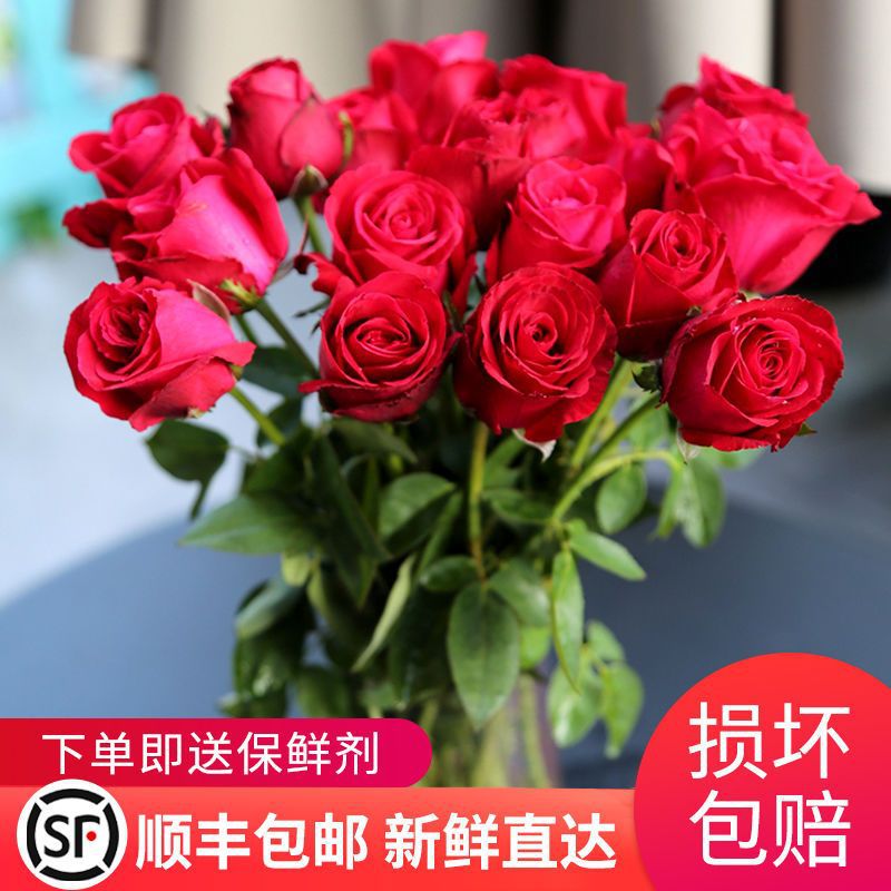 玫瑰花鲜花批发云南基地直发真花康乃馨向日葵百合花鲜花红玫威东