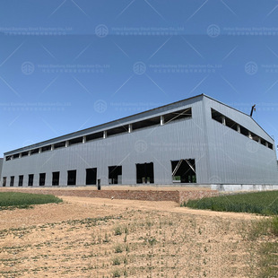 Design and Installation of Large Steel Structure Plants Various Sizes of Steel Structure Shops H-Shaped Steel Structure Plant