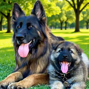 ���N������Ȯ��Ȯ���w����С��������͹���Ȯ�o�lȮ��ͥ��HȮ