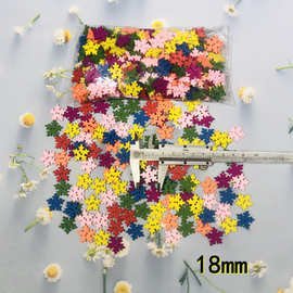 100个一包 彩色木质18mm雪花贴片 木头片幼儿园diy手工辅料木贴片