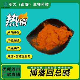 博落回总碱60% 博落回提取物 食品保健原料 量大价优 现货包邮