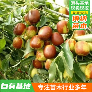 ������Nֲ�޽ӱ��Ǘ��ش���մ��������䗗�������䎧��