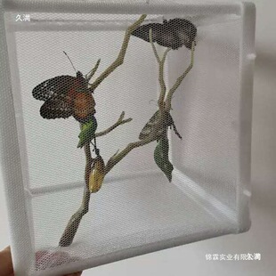 �����^�������Ӽ�ɷ����^����L��ͯ�ɼ��̾����x�W���׃��@��