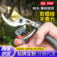 修枝剪园艺剪刀剪树枝专用剪刀园林修新款剪果树修枝花艺修花剪