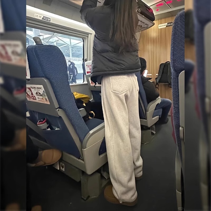 Gray Fleece-Lined Sweatpants Petite Women's Autumn Straight Loose Sports Wide-Leg Pants 2025 New Casual Pants