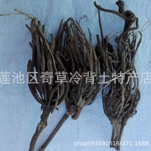 ���E��,����w,���}��,���l��ș�Ĵ��E����ș��