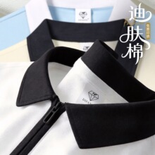 ����polo��������ӡlogo��˾��I�F������Ļ������I����̽�