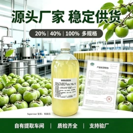 果蔬汁;植物提取物;压片糖果