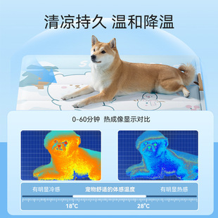 Pet Ice Mat, Mat, Kennel, Summer Cat Mat, Sleeping Mat, Cooling Floor Mat, Bite-Resistant Summer Dog Supplies