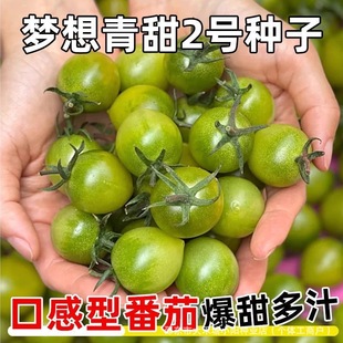 ����2̖С���ѷN���簫�������ѷN�������t���N���}Ů���߲˷N��