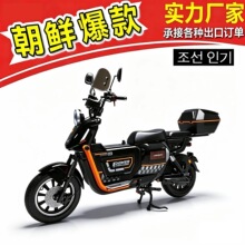 出口直销工厂U2 电动车 朝鲜电动车尼佳 NIJIA 电动自行车 电瓶车