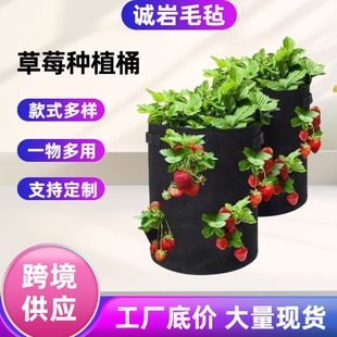 ���l�Ӻ�ë�ַNֲͰֲ�������ë�ֲ�ݮ�����Nֲ���A���_�ڷNֲ��