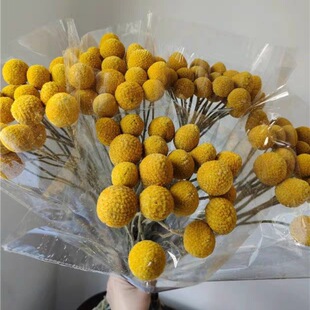 �ɻ������S���� ��Ȼ�L�滨 �ɻ�diy�����b� �S������羳����